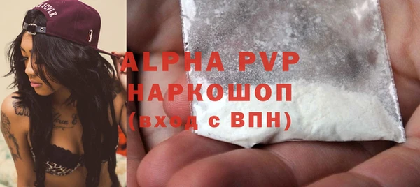 гашик Осинники