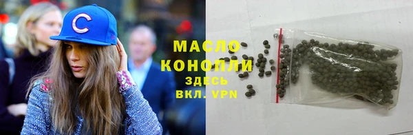 гашик Осинники