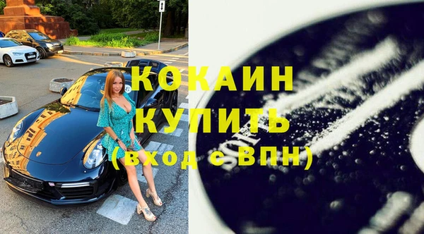 гашик Осинники