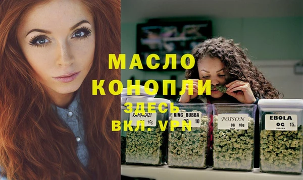 гашик Осинники