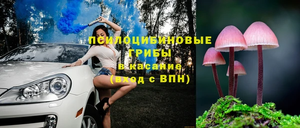 гашик Осинники