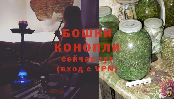 гашик Осинники