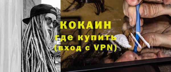 гашик Осинники
