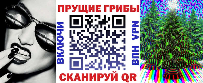 купить закладку  Осташков  omg как войти  Галлюциногенные грибы Cubensis 